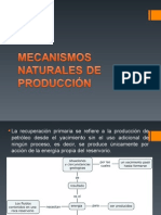 Mecanismos Naturales de Producción