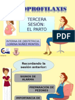 3era Sesión PPO