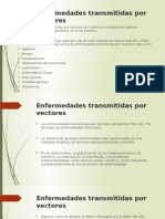 Enfermedades Transmitidas Por Vectores