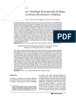 Ciclo Reproductor e Histología de Las Gónadas de Tilapia Oreochromis Niloticus Perciformes Cichlidae