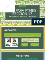 Niif para Pymes 17