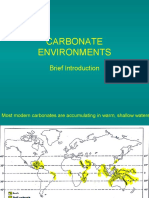 Carbonates 32, Environments 1