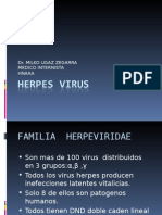 2º Clase Herpes Virus