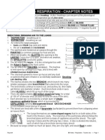 Respiration Notes