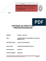 Informe de Praciticas Divincri - Regina