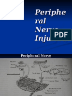 Peripheral Nerve Injury