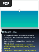 Metabolismo y Deporte