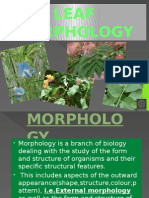 Leaf Morphology