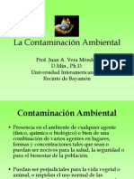 La Contaminación Ambiental PDF