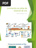 Lixiviación en Pilas de Mineral de Oro