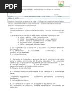 Prueba Formativa La Pubertad y Adolescencia Una Etapa de Cambios 6