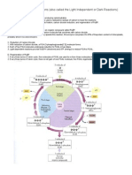 Notes Calvin Cycle