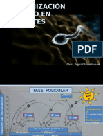 1 Sincronización de Estro en Rumiantes