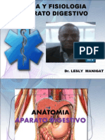 Anatomia Del Aparato Digestivo