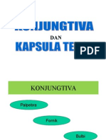 Konjuntiva Dan Kapsula Tenon