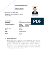 Cv-Riveros Becerra Antony - 2015