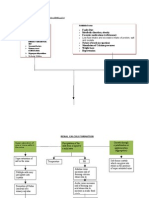 IV. The PATIENTS ILLNESS (Nephrolithiasis) Pathophysiology (Book-Based)