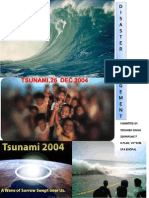 Tsunamireport 120911125622 Phpapp02