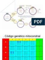 Código Genético Mitocondrial