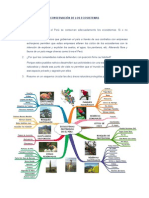 Conservación de Los Ecosistemas