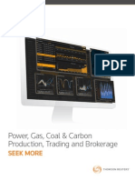 Power - Gas - Carbon and Coal Brochure