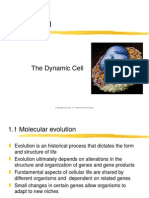 Chapter01 The Dynamic Cell