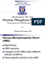 Hexose Monophosphate Shunt