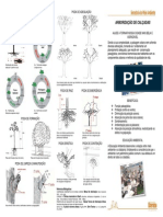 Folheto Arborizacao