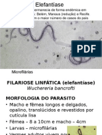 5 Filariose Ou Elefantíase