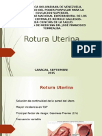 Rotura