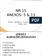 Anexos Nr-15 - Cópia