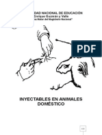 Inyectables en Animales Domesticos