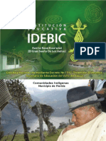 Conociendo El Idebic