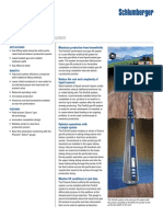 Perflift: Perforated-Zone Gas Lift System