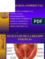 Patología Ano Rectal