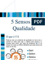 05 - 5 Sensos