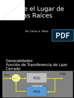 Lugar de Las Raices