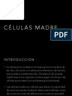 Celulas Madre