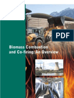 Biomass Combustion & Co-Firing