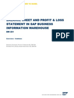 Balance Sheet and Profit and Loss Statements in The SAP Business Information Warehouse Exercise