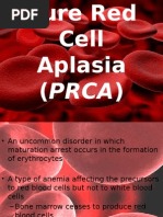 Pure Red Cell Aplasia PRCA 