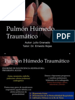 Pulmón Húmedo Traumático