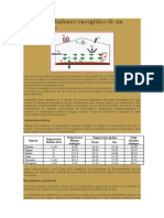 Cálculo Del Balance Energético de Un Invernadero