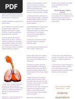 Triptico Sistema Respiratorio