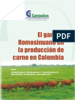 Romosinuano en Prod de Carne 2007