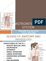 Digestive System - Meflores