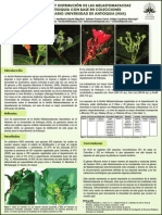 Diversidad y Distribución de Las Melastomataceae en Antioquia Con Base en Colecciones Del Herbario Universidad de Antioquia (Hua)