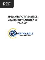 Reglamento de Seguridad y Salud en El Trabajo - VS01