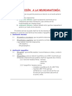 2-INTRODUCCIÓN A LA NEUROANATOMÍA (Terminado)