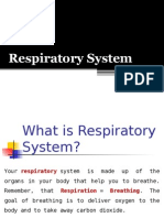 Respiratory System